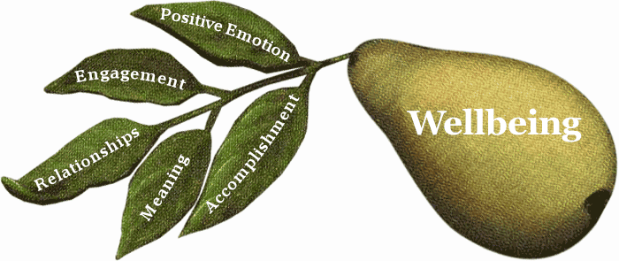 Wellbeing= Positive Emotion, Engagement, Relationships, Meaning, Accomplishment